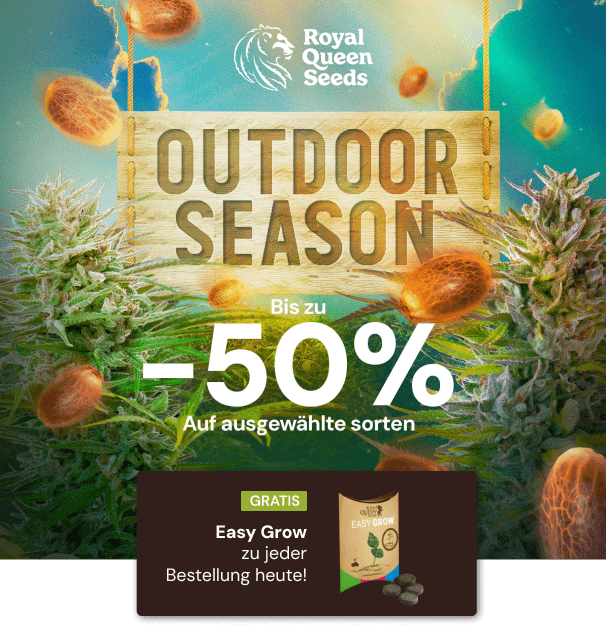 Outdoor 50%